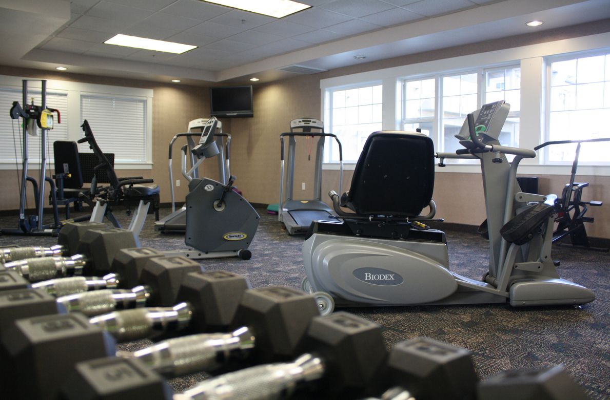 A well-equipped gym with various exercise machines and dumbbells.