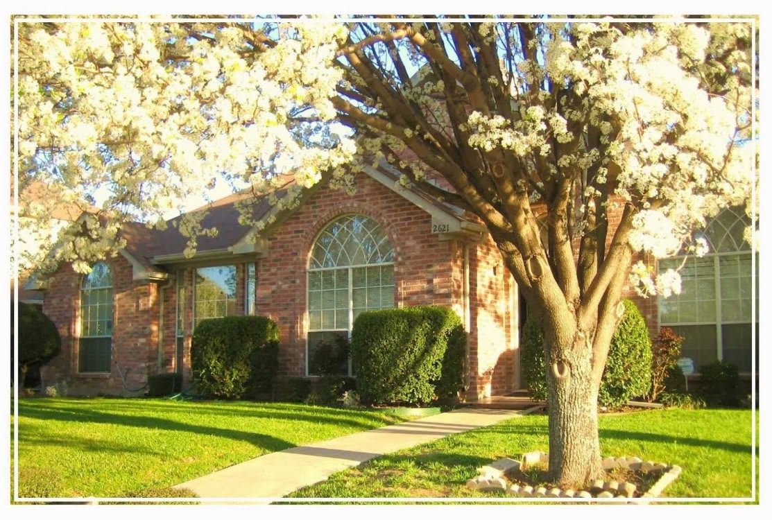Sophyas Assisted Living
