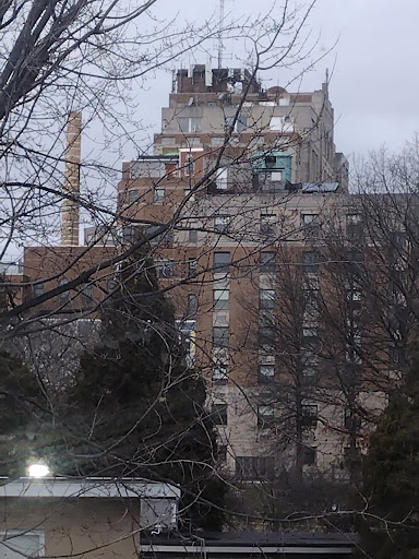 A historic building stands prominently amidst bare trees on an overcast day.