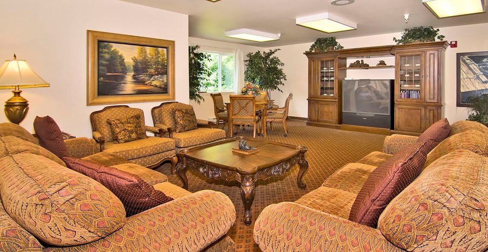 A cozy living room with warm-toned sofas, a central coffee table, and decorative plants creating an inviting atmosphere.