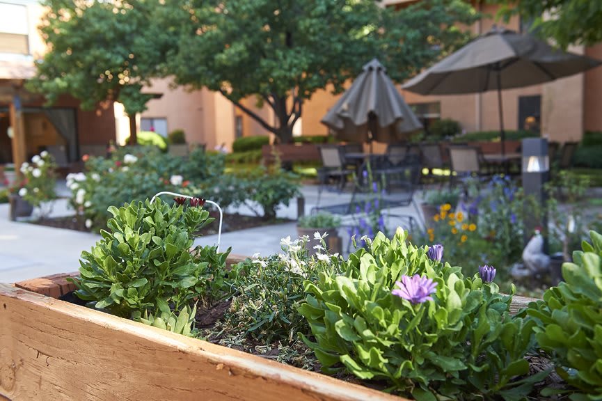 A tranquil garden patio with vibrant flowers and inviting seating.