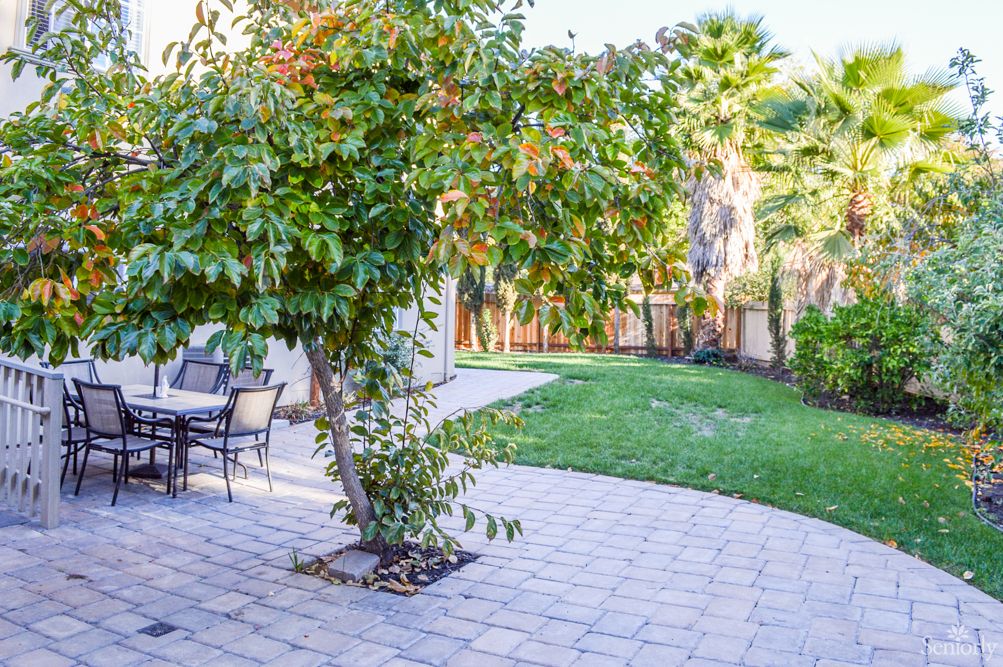 A sunny backyard with a patio, outdoor furniture, and lush greenery.