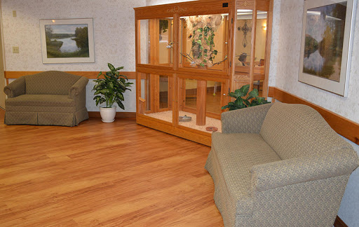 A cozy living room area featuring a comfortable sofa, indoor plants, and a wooden display case.