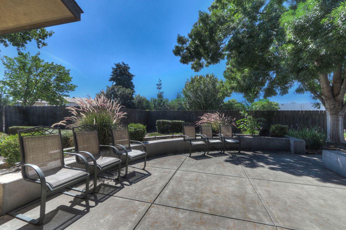 A sunny outdoor patio with chairs and potted plants, surrounded by trees.