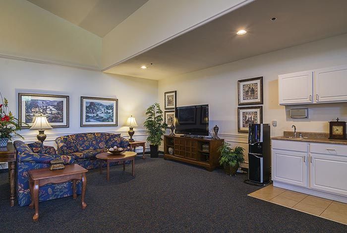 A cozy living room with a sofa, television, artwork on the walls, and indoor plants for decoration.