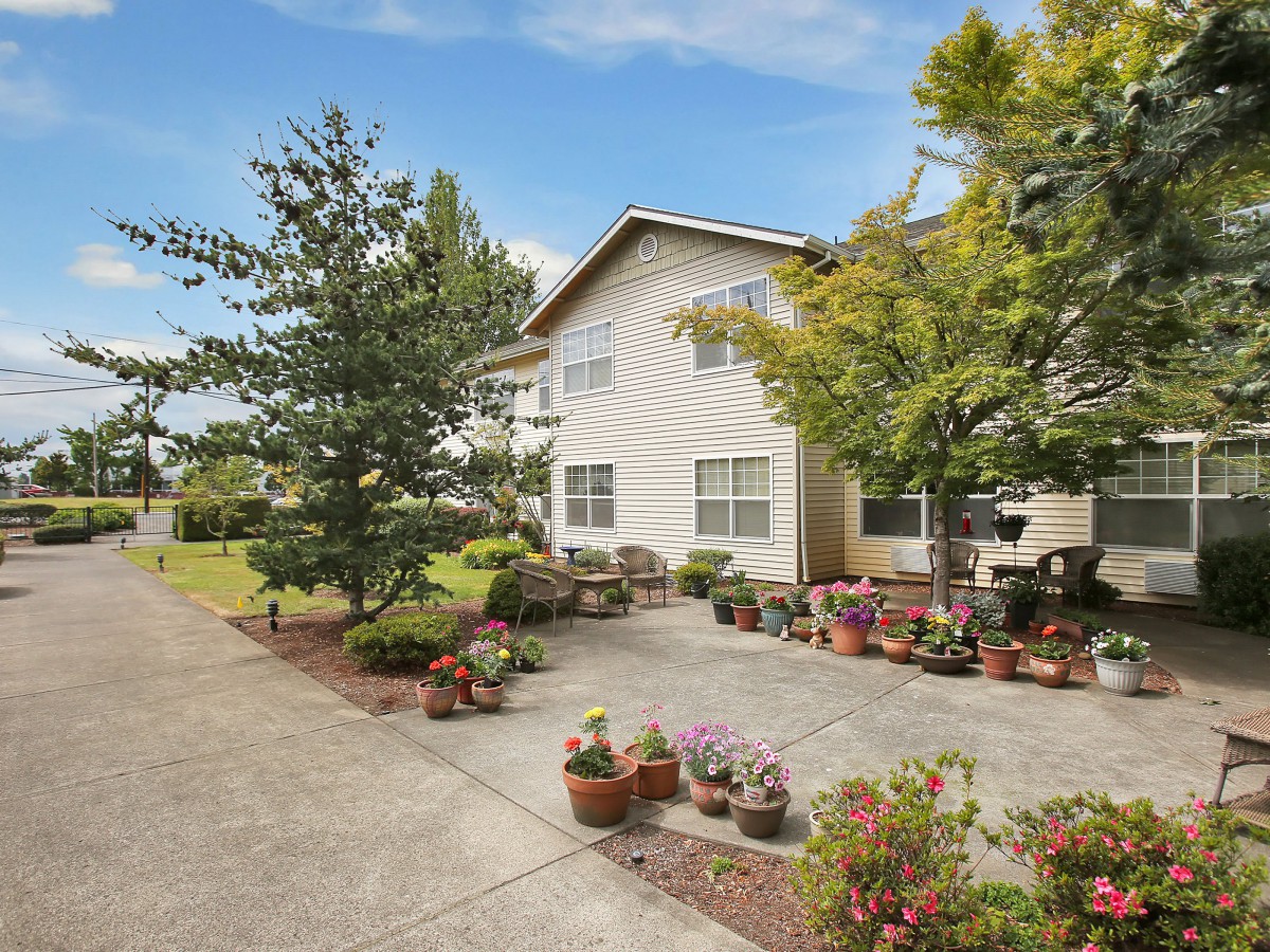A suburban house with a driveway and a garden adorned with potted plants.