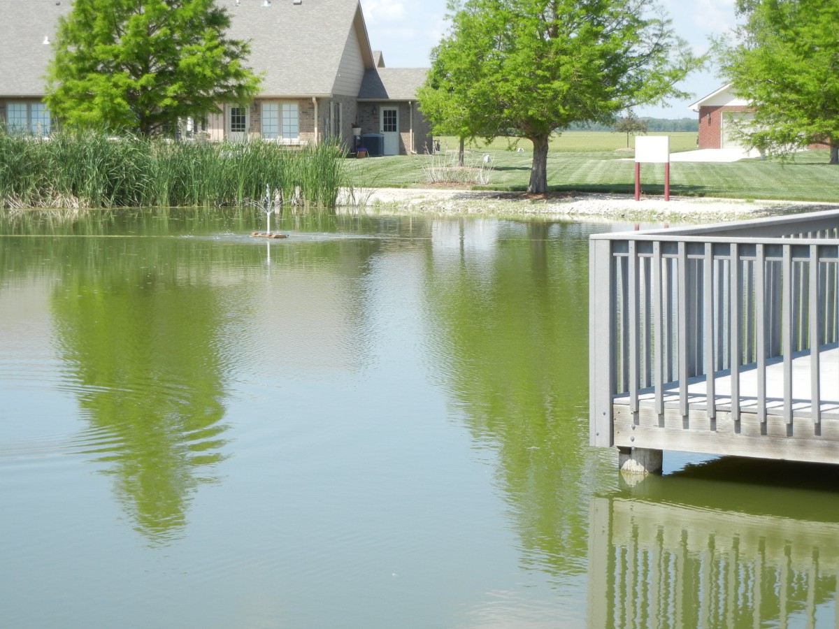 A peaceful lake view with a dock, surrounded by trees and a house in the background.
