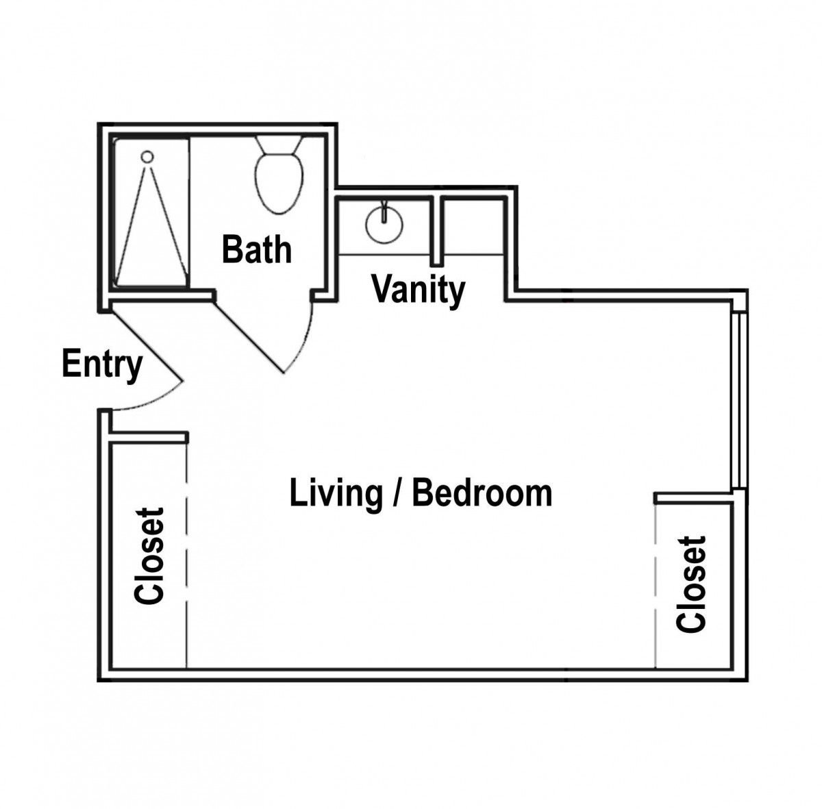 A floor plan of a compact studio apartment featuring a combined living and bedroom area, a bathroom, vanity, and two closets.