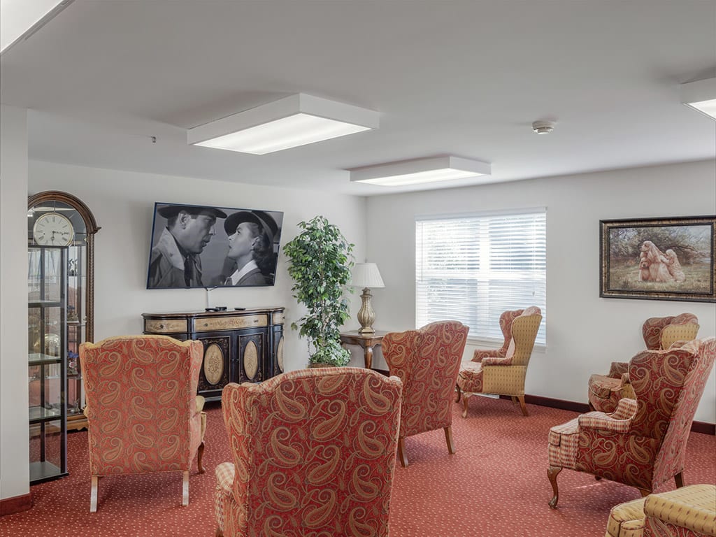 A cozy living room with plush chairs, a television, and natural lighting.