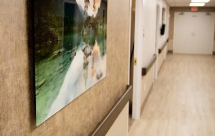 A hospital hallway featuring artwork on the walls.