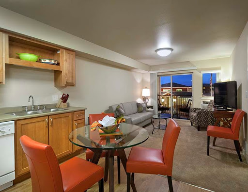 A cozy apartment featuring a combined living and dining area with modern furnishings.