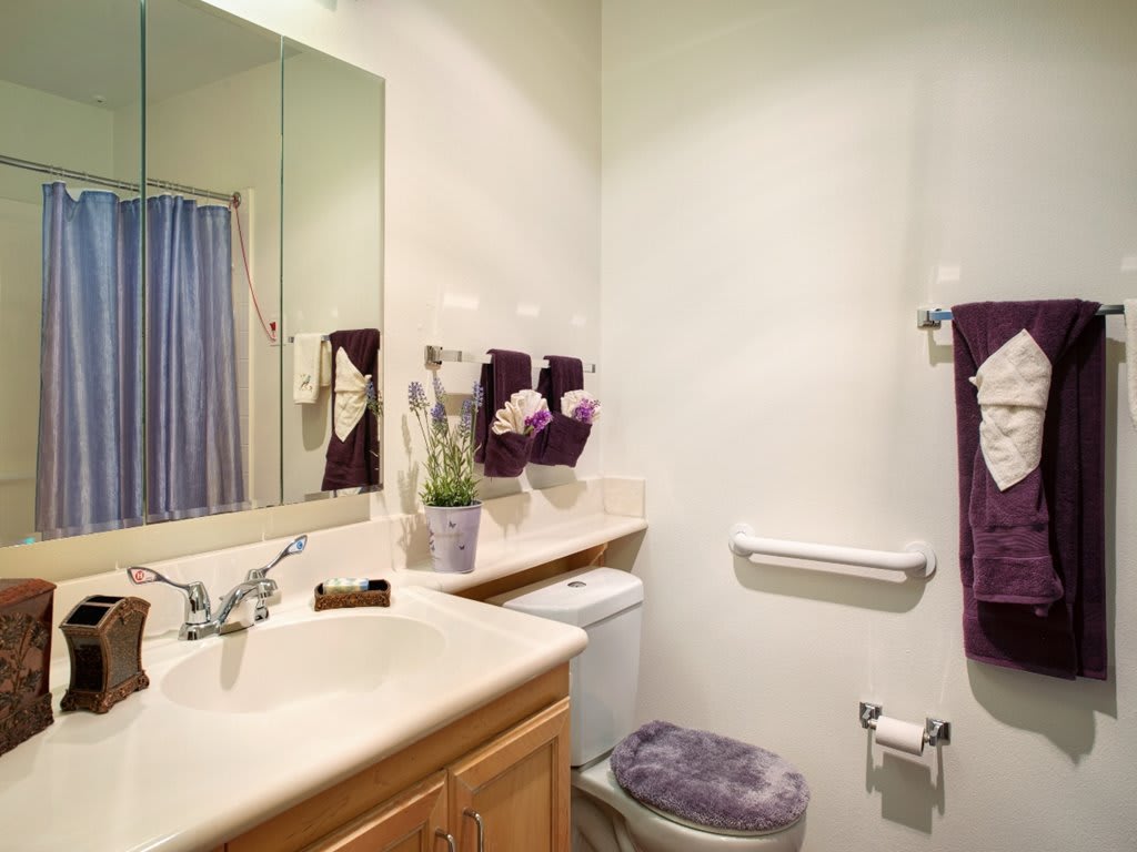 A well-organized bathroom with a sink, mirror, and coordinated towels.