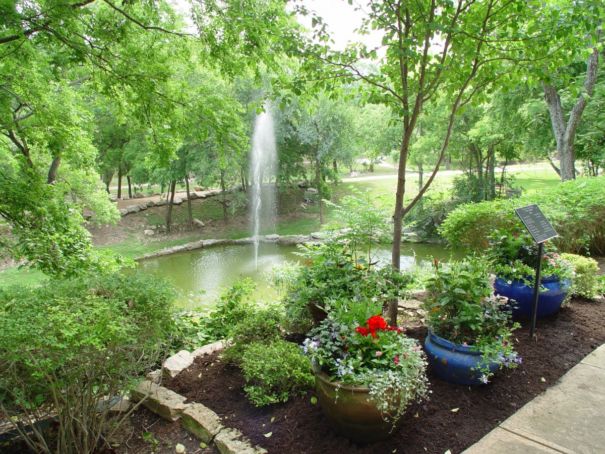 A serene garden with a central fountain surrounded by lush greenery and vibrant potted plants.