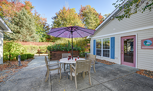 A cozy patio with a table, chairs, and a large umbrella set against a house exterior and surrounded by autumn trees.