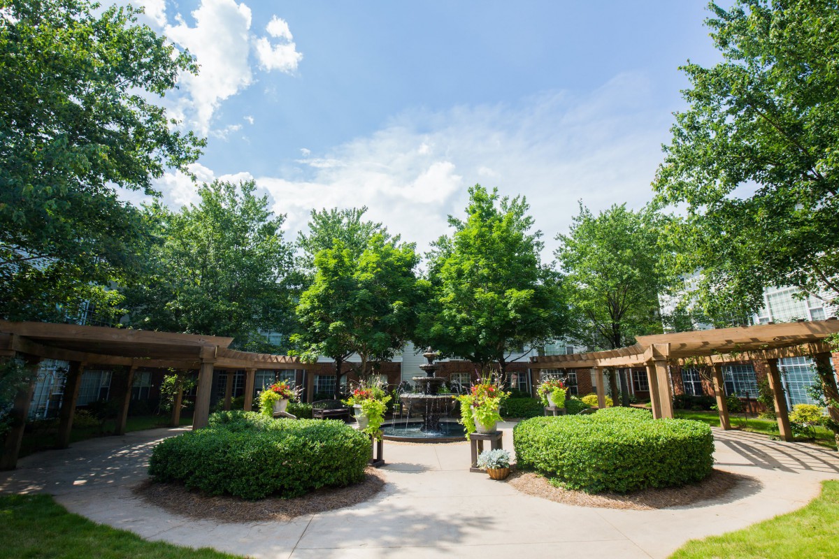 A serene garden landscape with lush greenery and clear blue sky.
