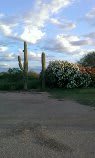 A scenic view of cacti and bushes under a cloudy sky.