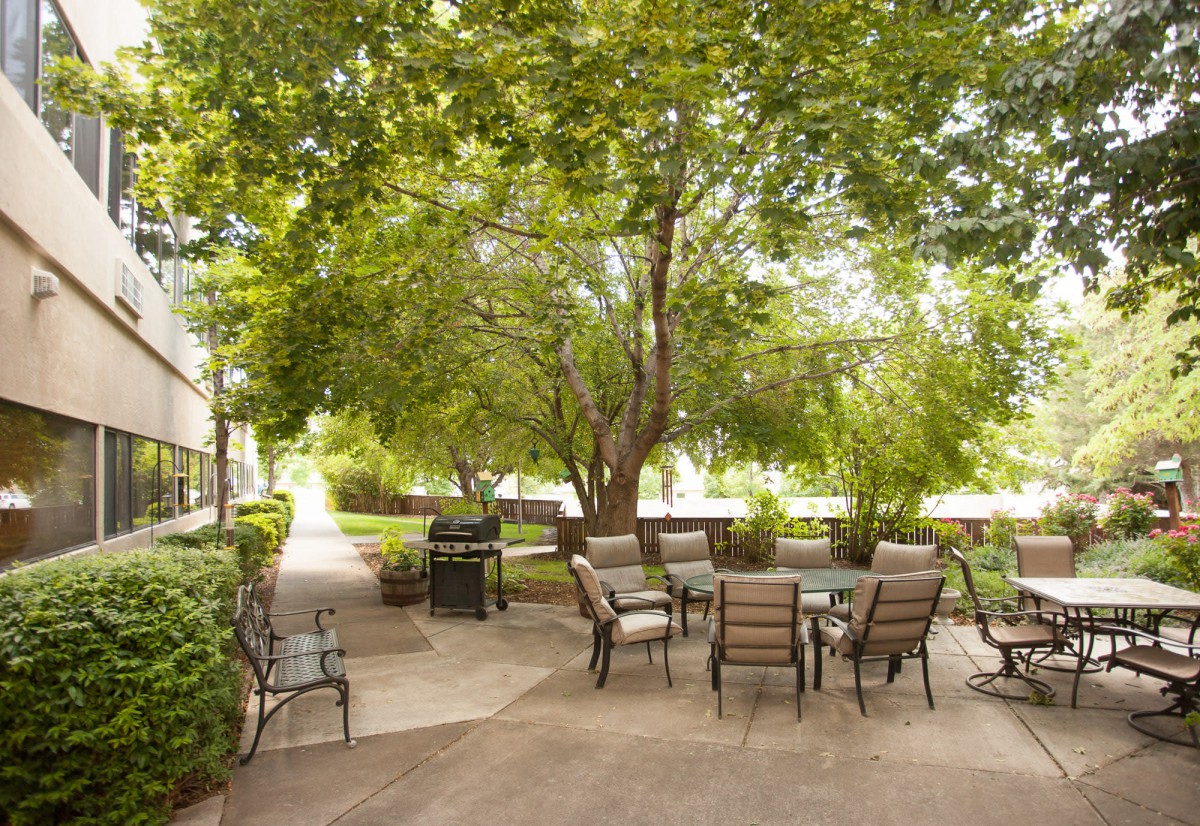 A serene outdoor patio with seating surrounded by lush trees and greenery.