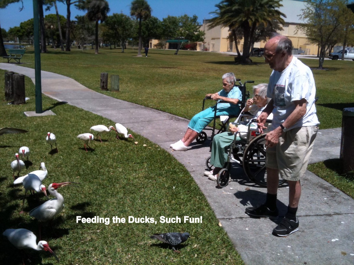 Seniors enjoying a day out by feeding ducks at the park.