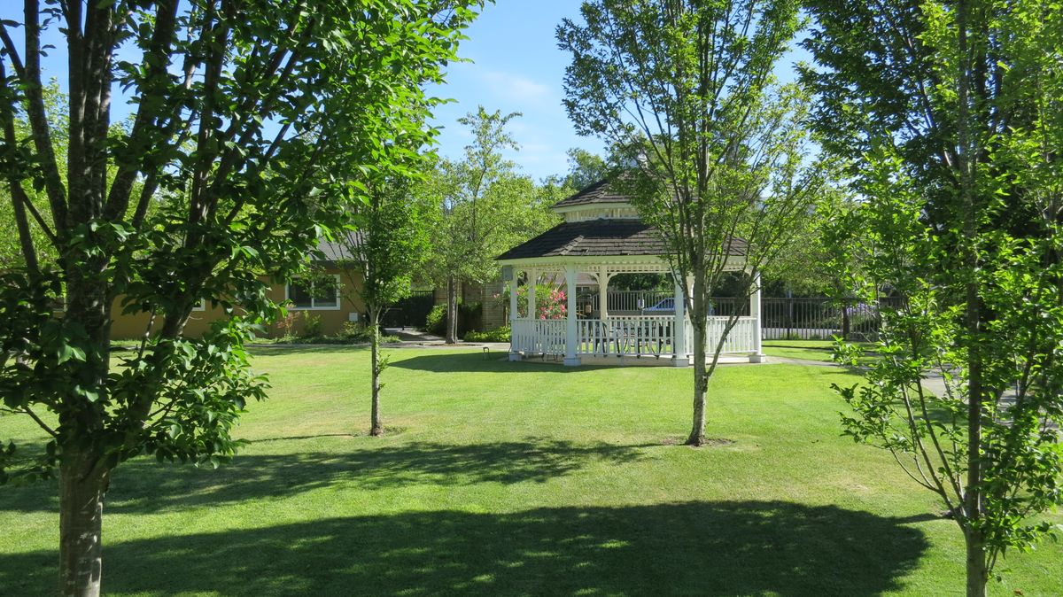 A peaceful park scene featuring a gazebo surrounded by lush green grass and trees on a sunny day.