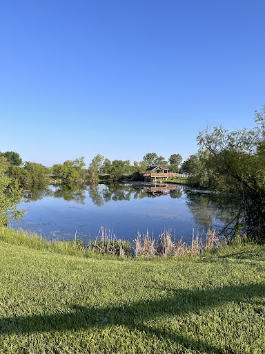 A serene view of a lake surrounded by lush greenery under a clear blue sky.