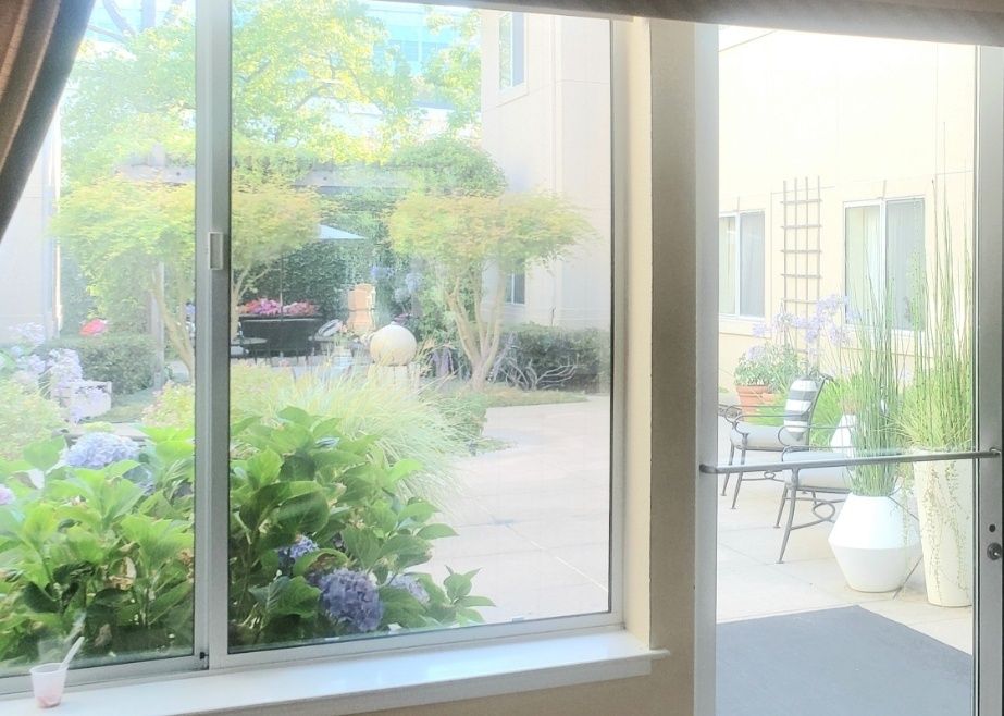 A view through a window overlooking a lush garden with various plants and outdoor seating.