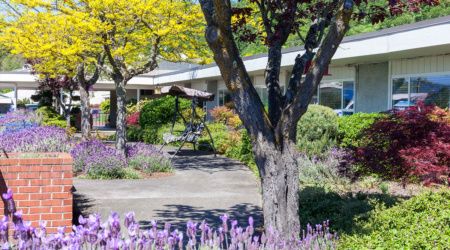 A beautiful garden with vibrant flowers and trees, featuring a house and a swing.
