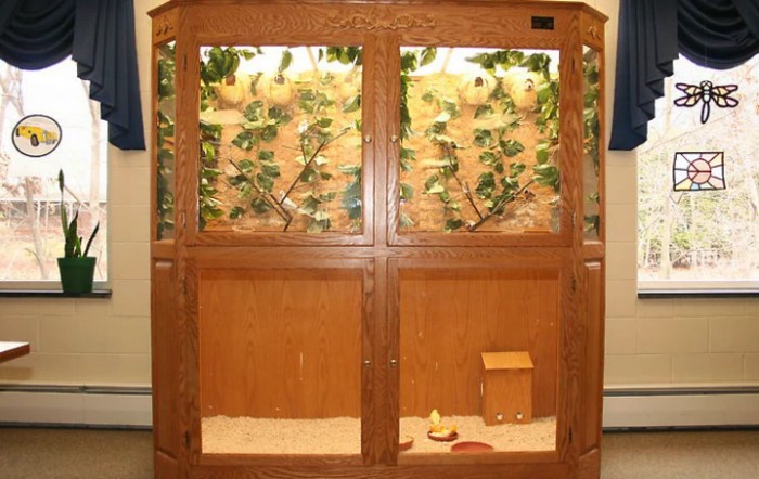 Golden Livingcenter Clarion