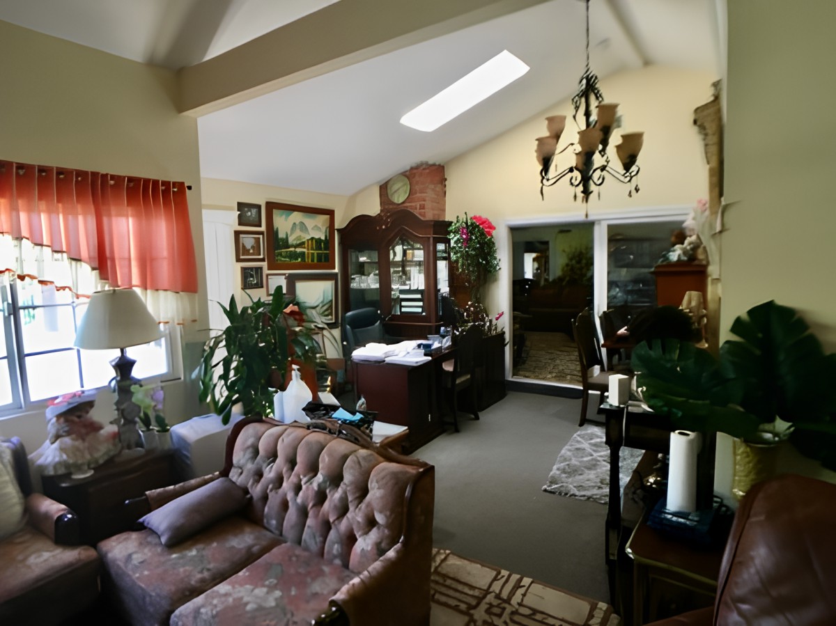 A cozy living room featuring vintage furniture and decor with indoor plants and a chandelier.