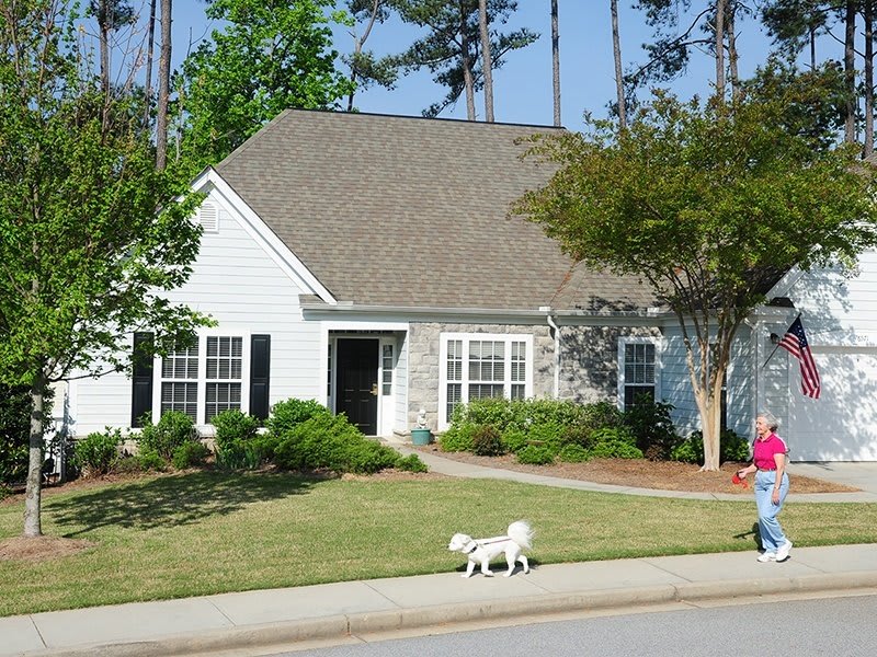 A suburban house with a well-maintained lawn, trees, and a person walking a white dog on the sidewalk.