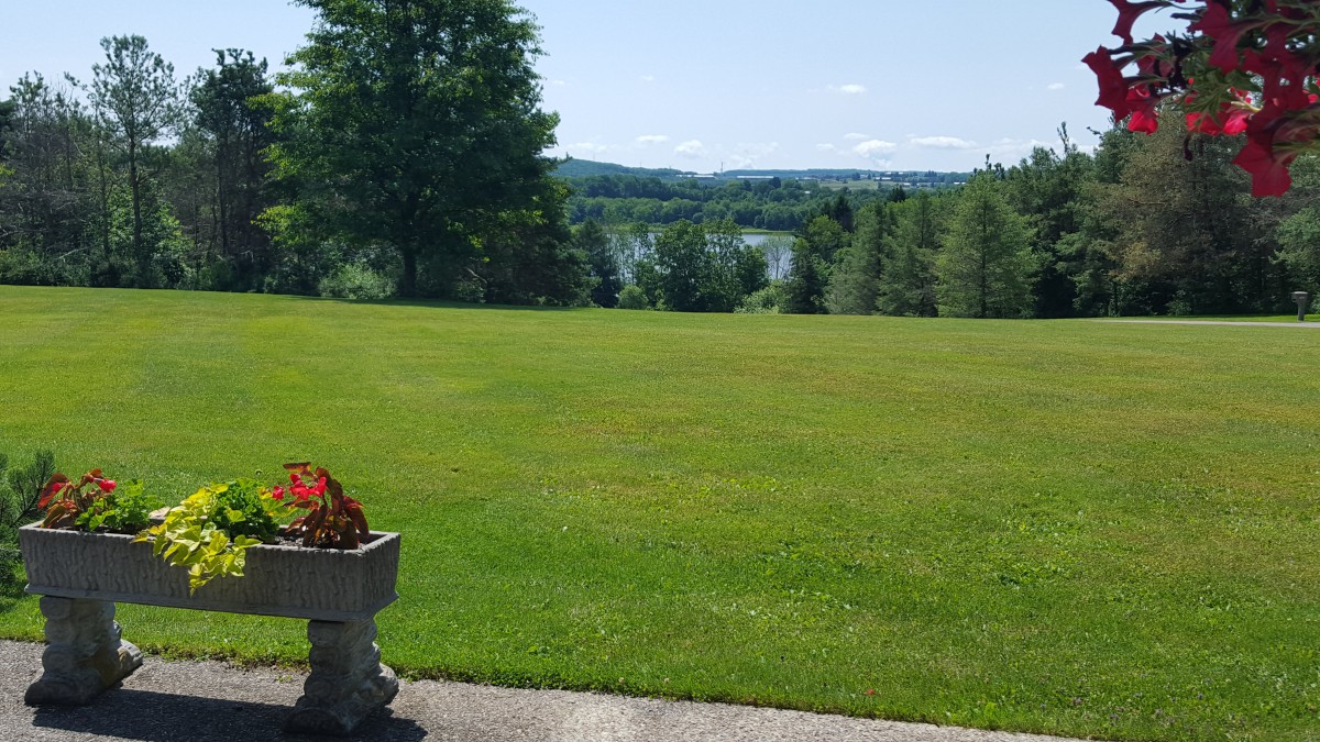 A beautiful outdoor scene with a lush green lawn, trees, and a flower pot.