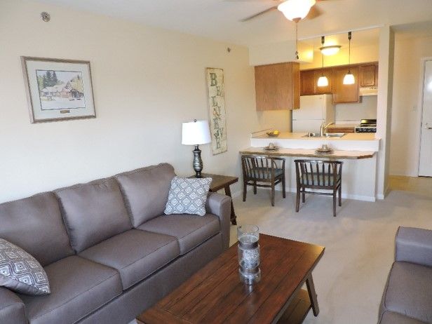 A cozy living room with a sofa and coffee table, adjacent to a kitchen and dining area.
