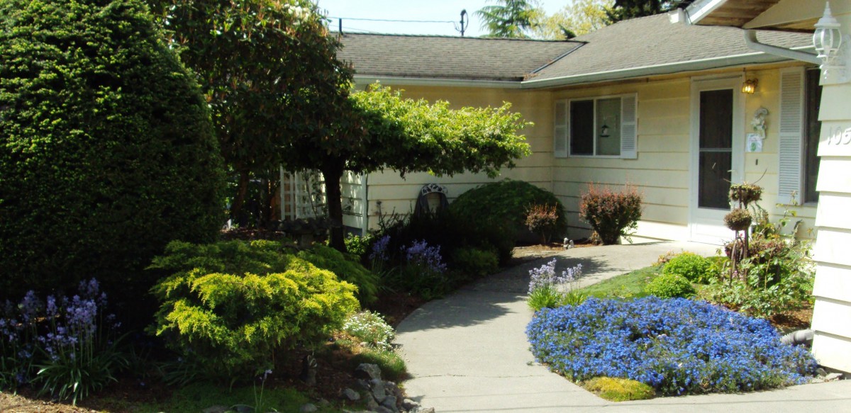 Cottage Inn AFH. Inc