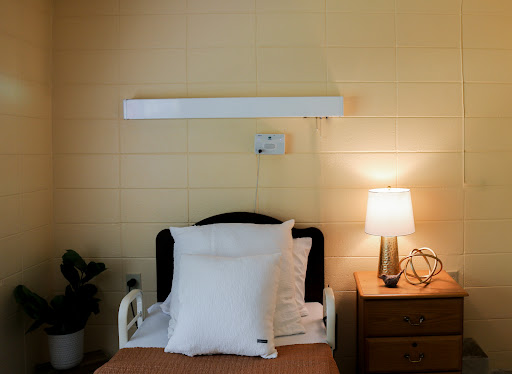 A cozy bedroom setup featuring a neatly made bed, bedside lamp, and decorative plant.