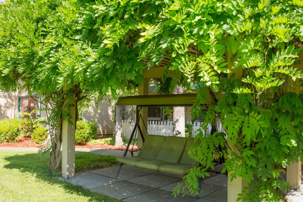 A shaded garden swing partially covered by lush greenery, providing a cozy outdoor relaxation spot.