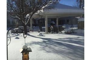 A snow-covered backyard with a patio and trees, basking in the winter sunlight.