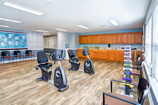 A modern exercise area featuring stationary bikes and workout accessories.
