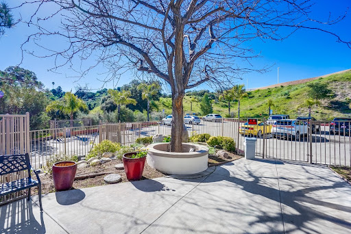 A serene outdoor space featuring a bare tree and colorful potted plants under a clear blue sky.