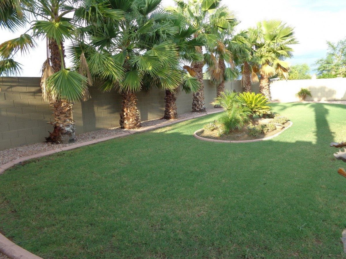 A well-maintained backyard with a lush lawn and palm trees.