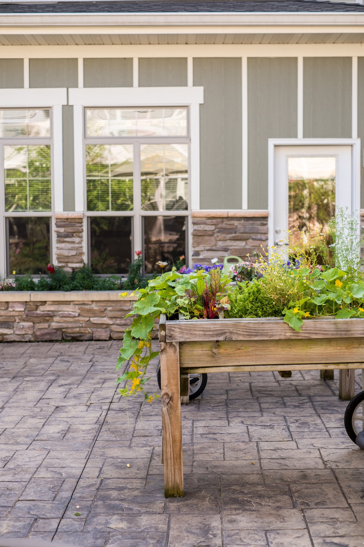 A garden scene with a raised bed on a paved patio in front of a building with large windows.