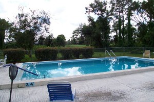 An outdoor swimming pool surrounded by trees and a fence, with a deck chair nearby under a cloudy sky.
