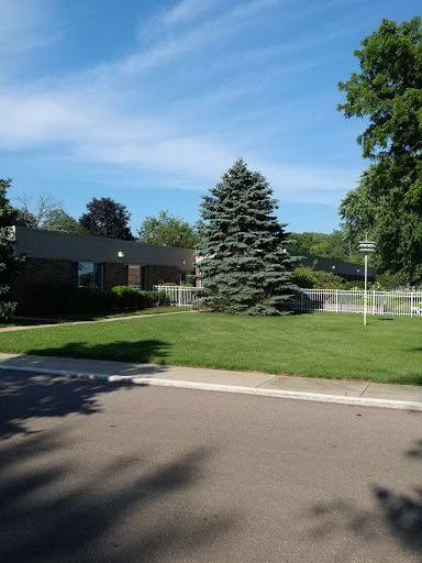 A tranquil suburban scene featuring a large evergreen tree and well-maintained grass beside a quiet road.