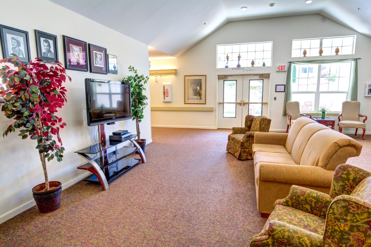 A cozy living room with a sofa, television, and decor plants.