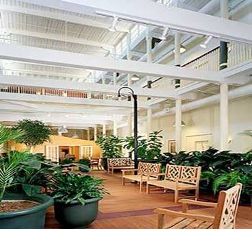 A tranquil indoor garden with benches and lush green plants under a skylit ceiling.