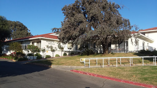 A view of a building surrounded by greenery and a large tree.