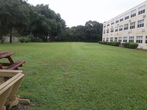 A spacious green lawn in front of a building, inviting for outdoor activities.