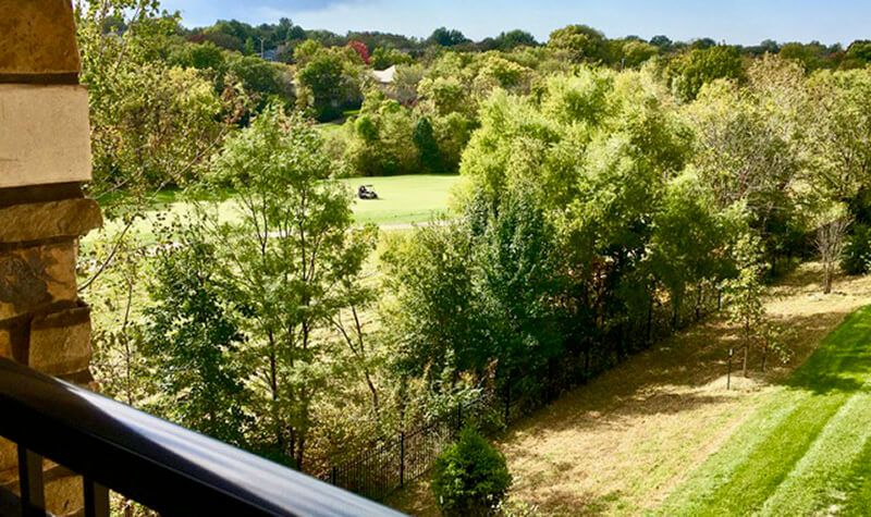 A scenic view of a lush green landscape with trees and rolling hills.