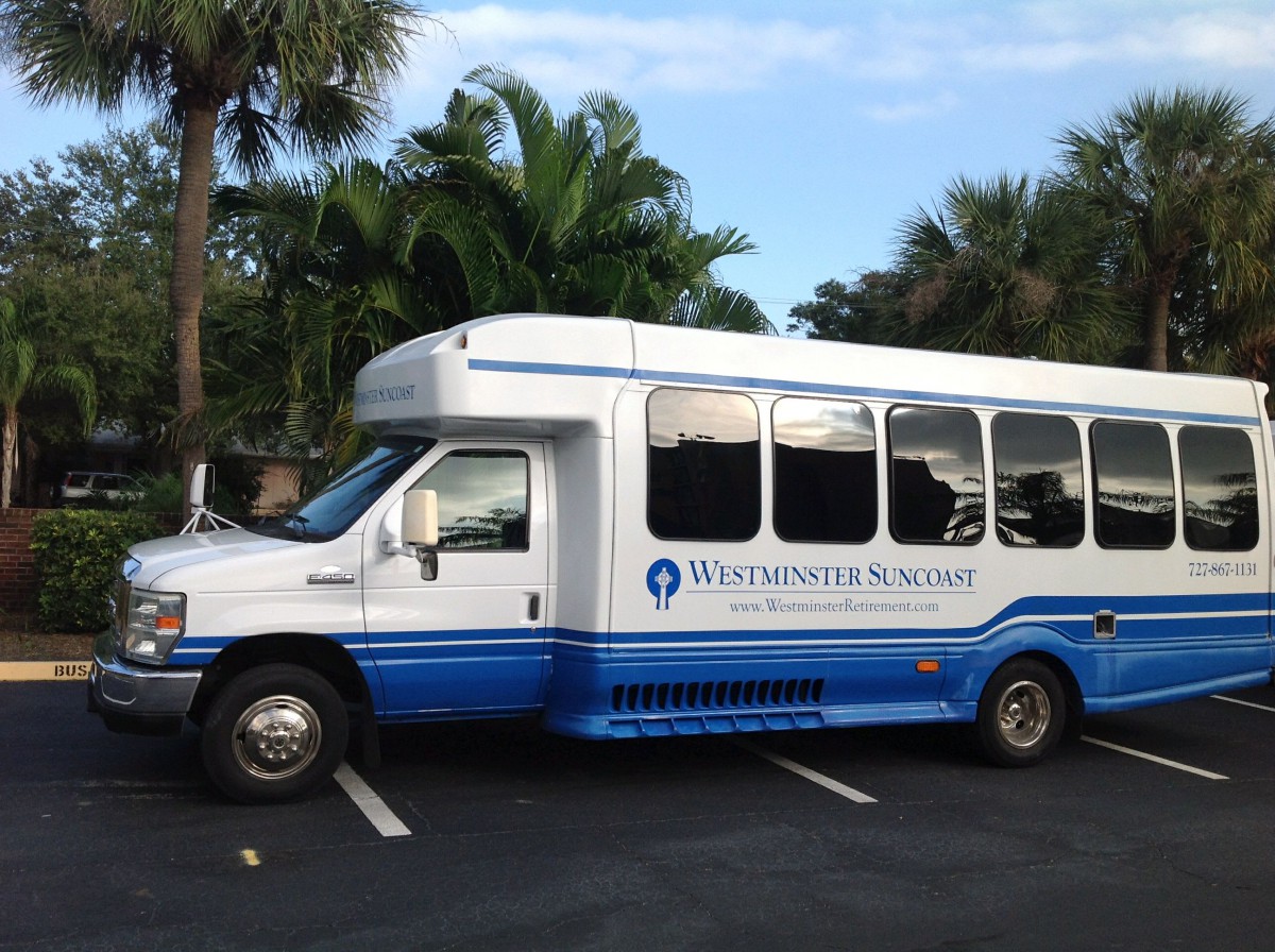 A white and blue school bus parked in a lot with palm trees in the background.