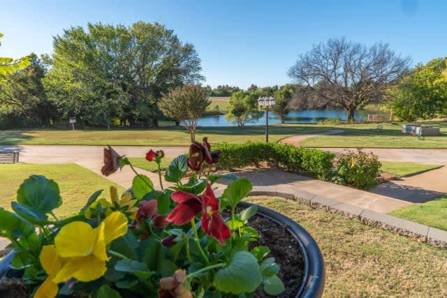 A scenic view of a garden with colorful flowers in the foreground, a lake, and lush trees in the background.