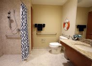 A handicap accessible bathroom featuring a shower with patterned curtain, a toilet with grab bars, and a sink area.