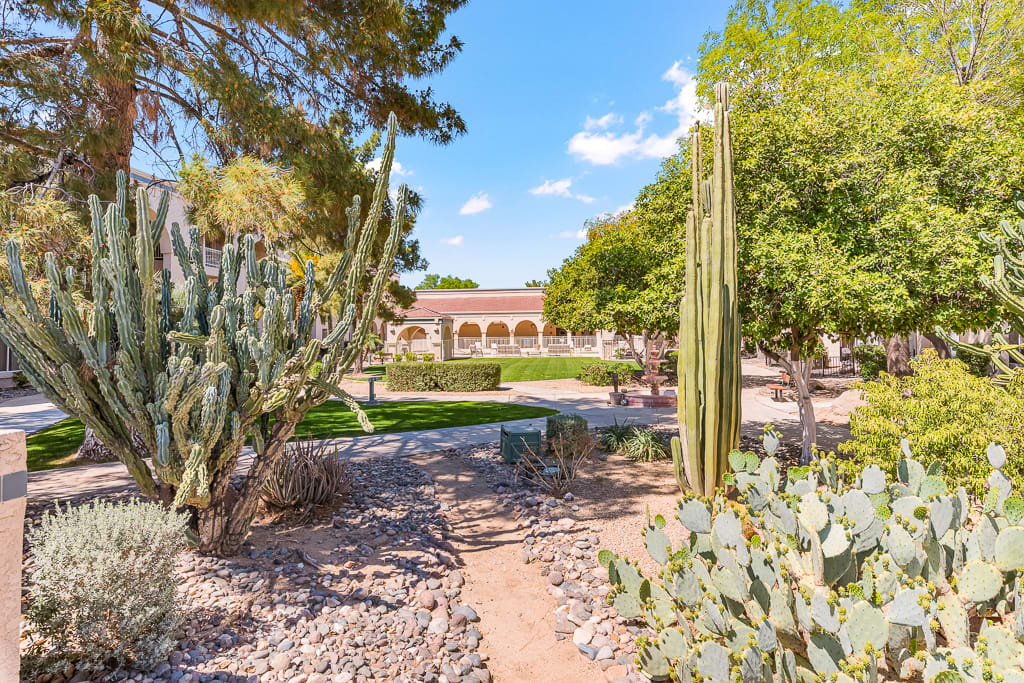A beautiful garden featuring a variety of cacti and desert plants under a clear blue sky.